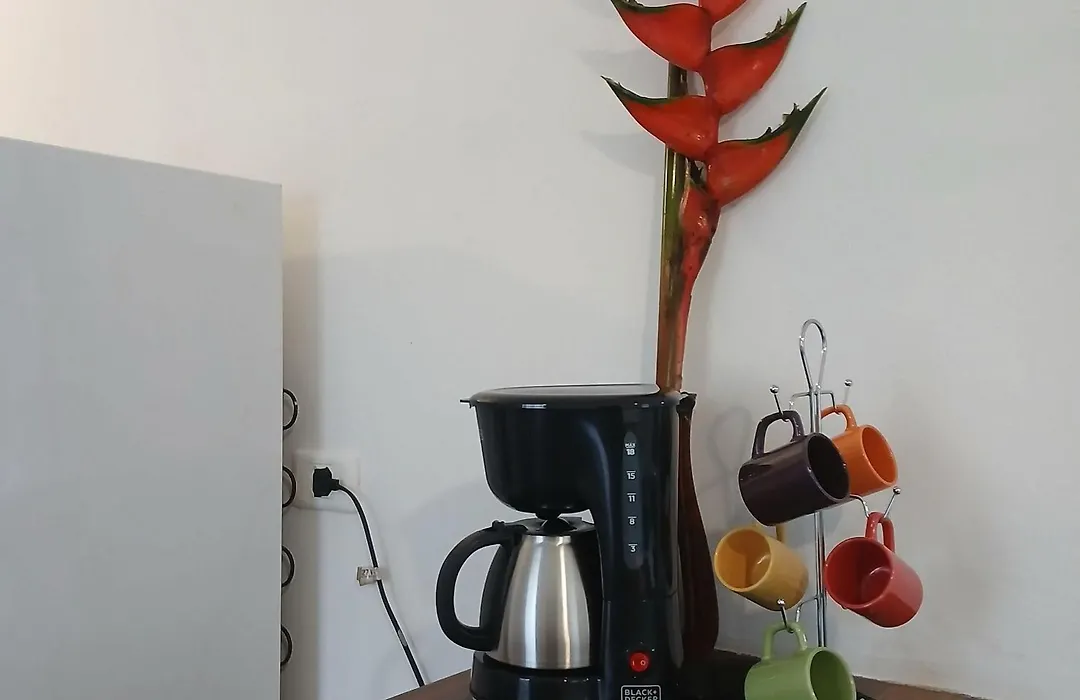 Studio8 Centro Paraty-1
