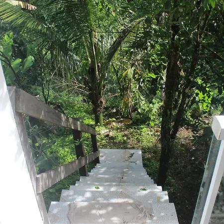 Sunshine Home-2