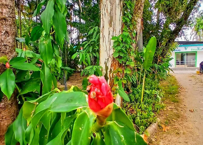 Canto dos Pássaros Paraty